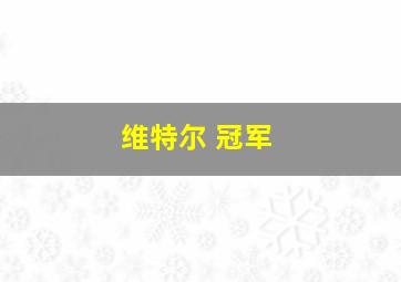 维特尔 冠军